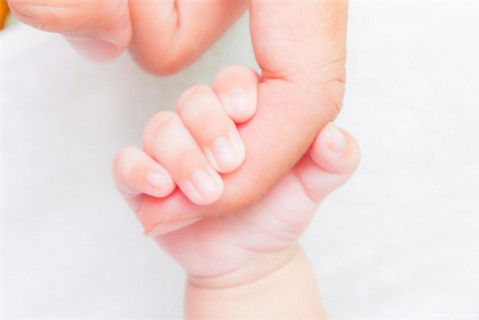 中医调养的苏州试管助孕食谱