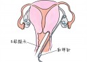 苏州代怀孕想知道男女最简单的方法是什么