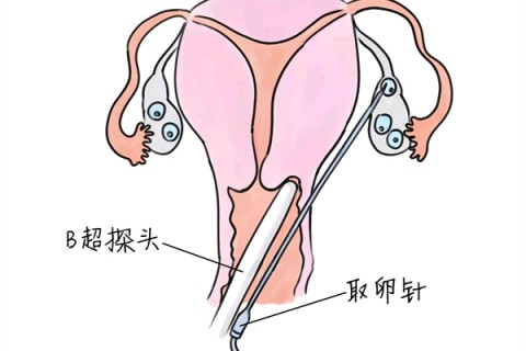 http://www.nizifen8.com/post/199.html|供卵助孕
